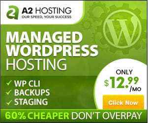 Managed Wordpress Hosting